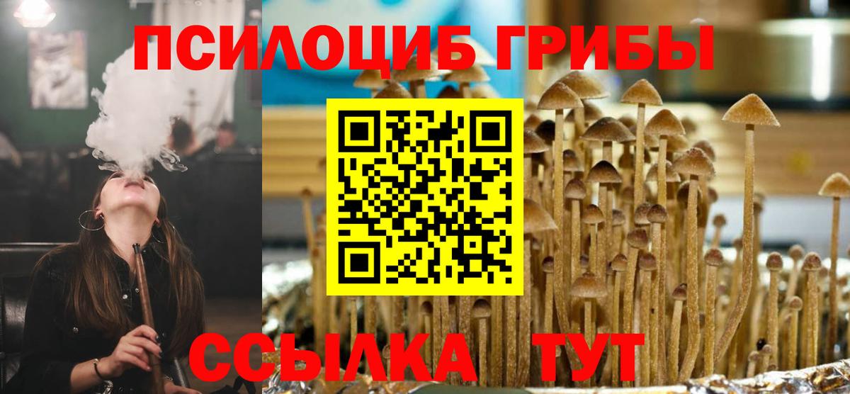 Псилоцибиновые грибы прущие грибы  Вход с VPN  Галлюциногенные грибы мицелий  Славянск-на-Кубани 